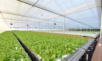 京东年货节 健康食品与家电、在线问诊成春节必备，生鲜食品引领健康新风尚