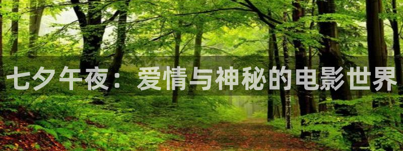 金牌秘书电影：七夕午夜：爱情与神秘的电影世界