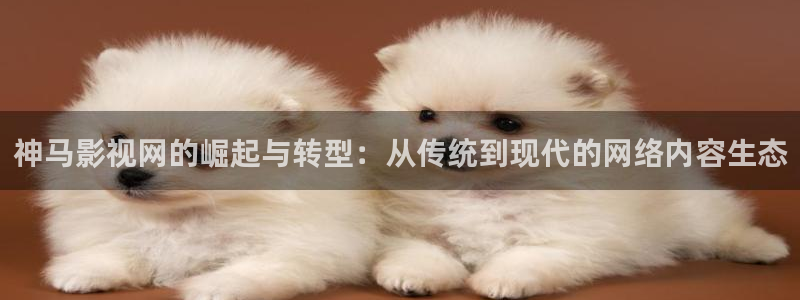 现在就出发第二季免费观看完整版金牌影院：神马影视网的崛起与转型：从传统到现代的网络内容生态