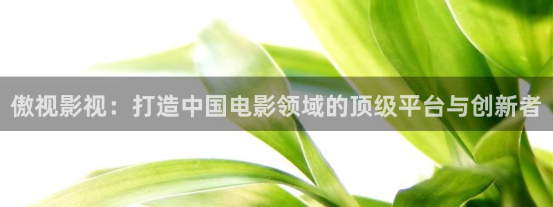 金牌影视在线：傲视影视：打造中国电影领域的顶级平台与创新者
