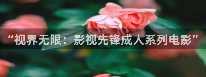 金牌影院官网首页入口：“视界无限：影视先锋成人系列电影”