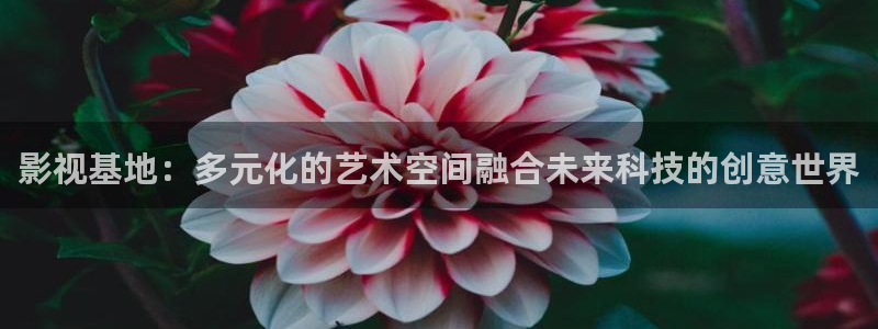 金牌影视电视剧在线观看免费：影视基地：多元化的艺术空间融合未来科技的创意世界
