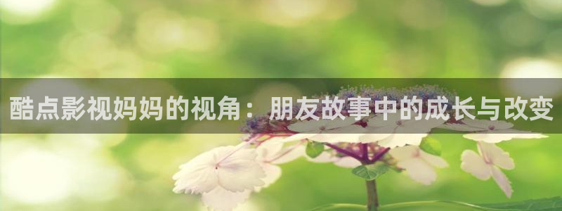 柳舟记金牌影院：酷点影视妈妈的视角：朋友故事中的成长与改变