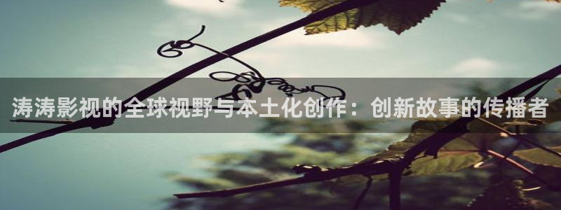 金牌特务电影：涛涛影视的全球视野与本土化创作：创新故事的传播者