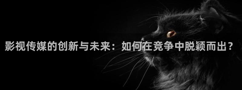 金牌影视免费观看：影视传媒的创新与未来：如何在竞争中脱颖而出？