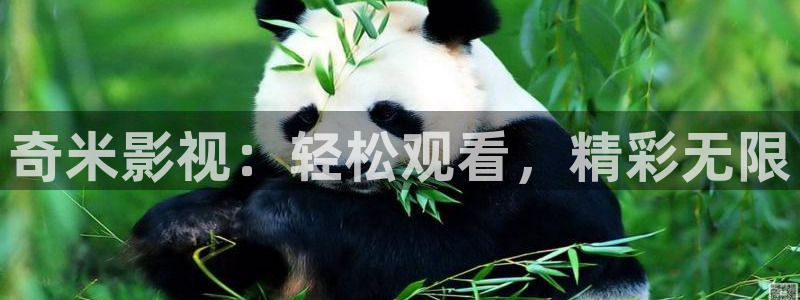 金牌影视官网入口免费观看：奇米影视：轻松观看，精彩无限