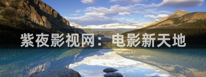 金牌影院网站：紫夜影视网：电影新天地